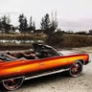 Meet your Posher, Troy